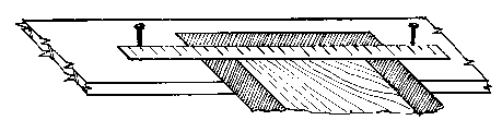 Steel rule supported by nails